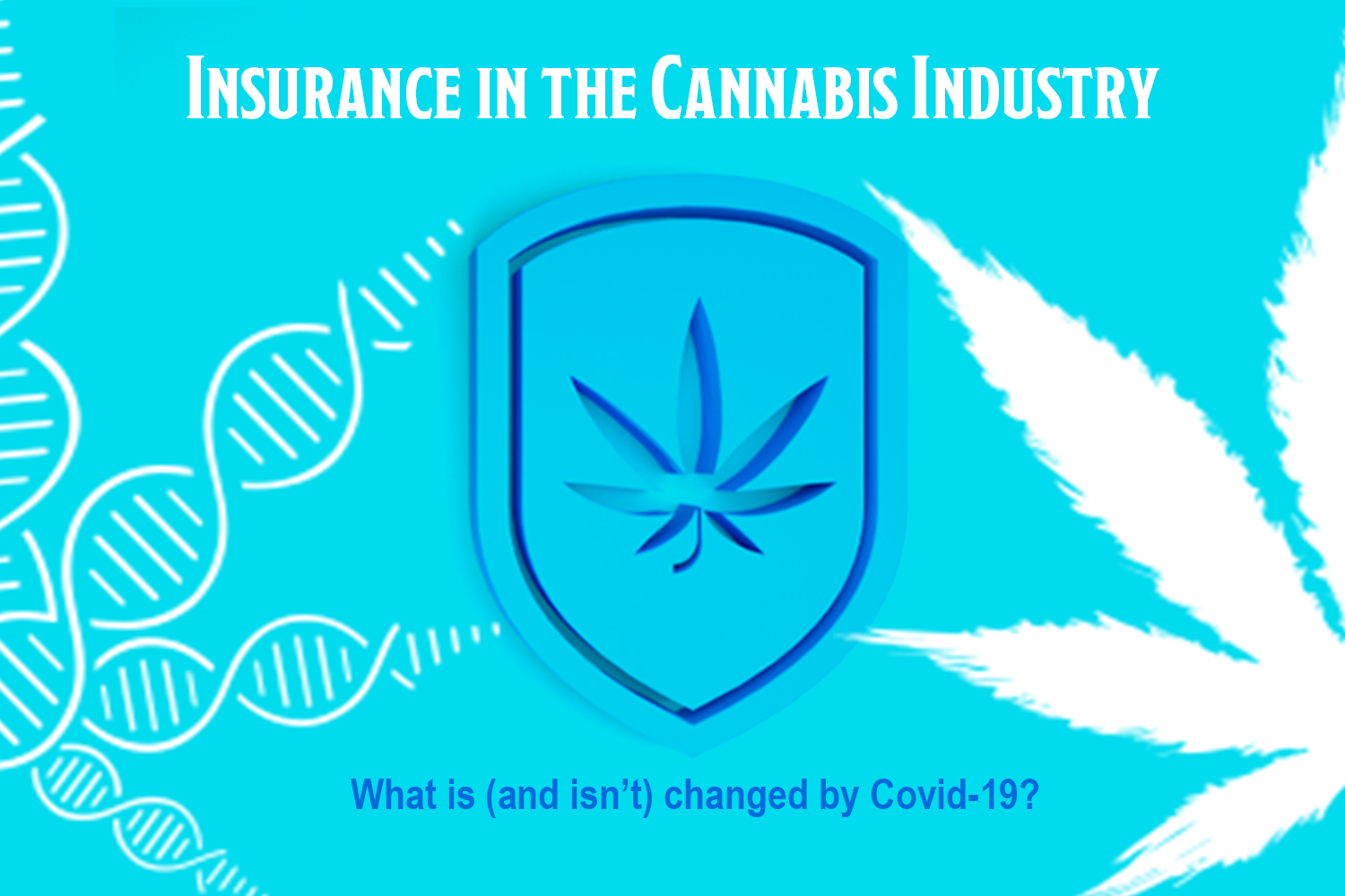 insurance-in-the-cannabis-industry